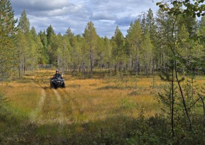 Mönkijällä ajelu metsäalueella