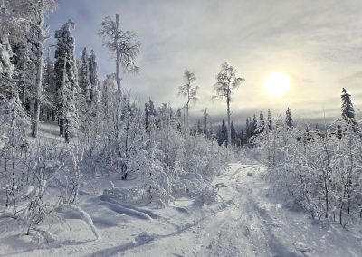 Huurteinen talvimaisema